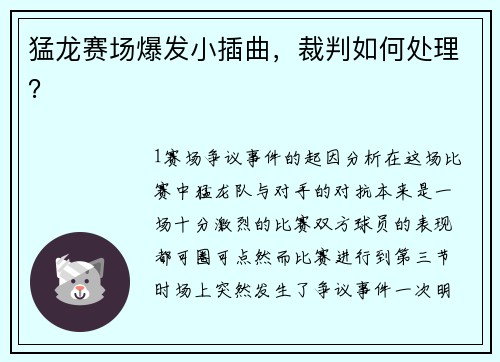 猛龙赛场爆发小插曲，裁判如何处理？