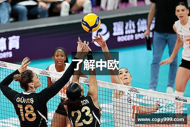 了解中欧